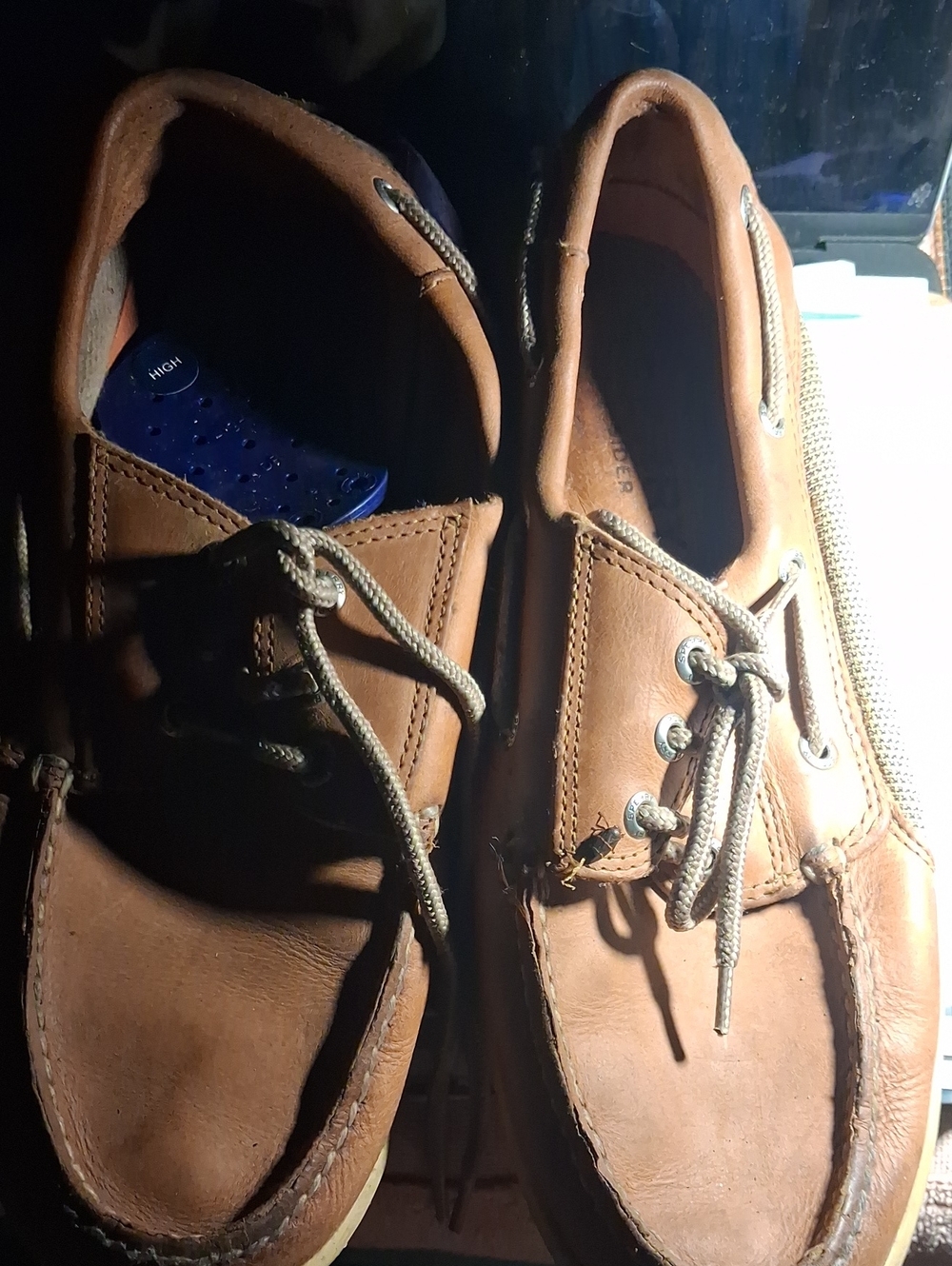 Sperry Brown Leather Boat Shoes